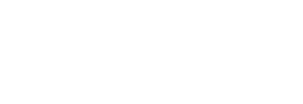 NullStern Logo